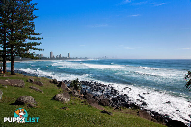 11 Seville Circuit BURLEIGH WATERS QLD 4220