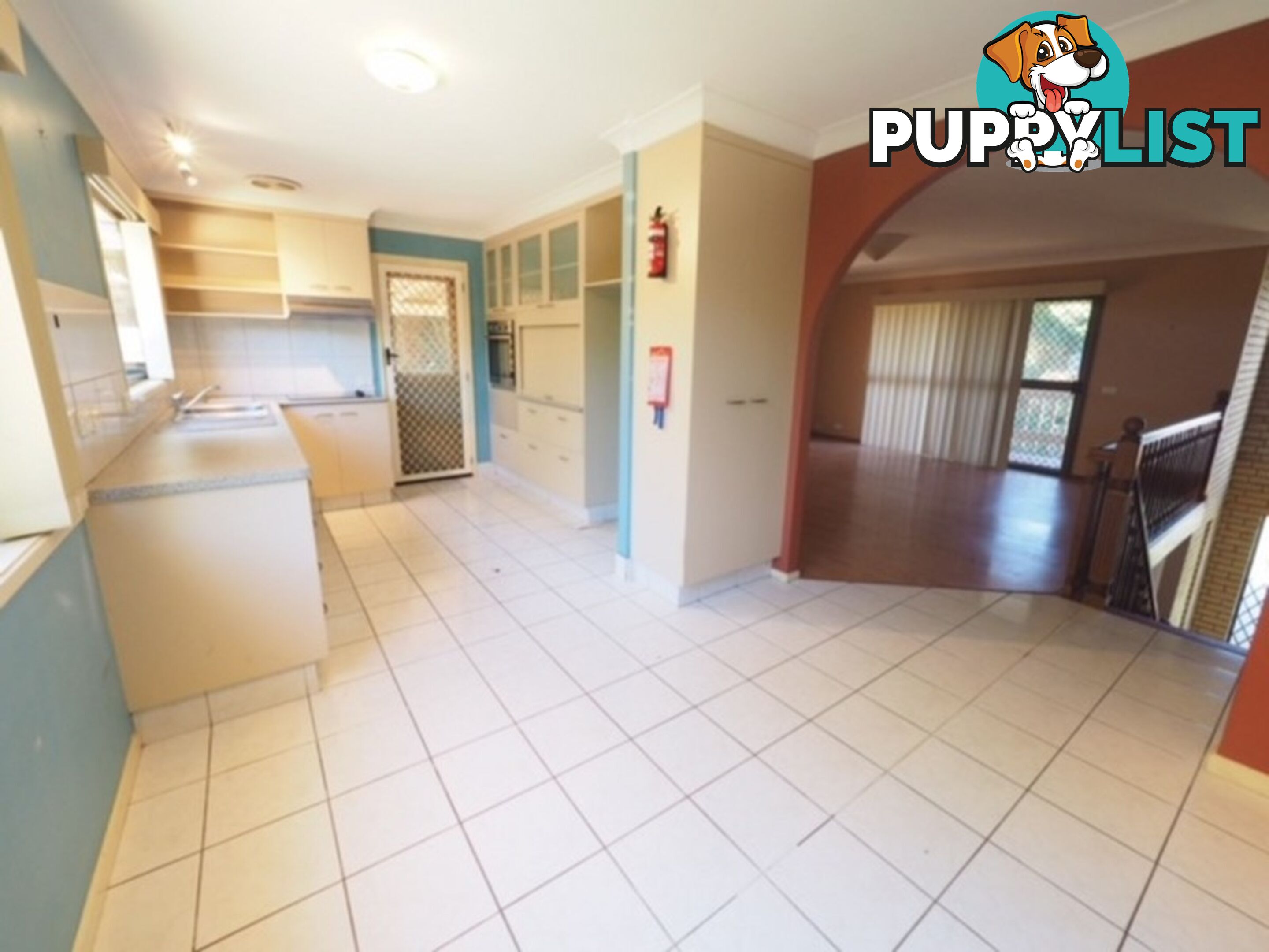 19 Myrtle Court PALM BEACH QLD 4221