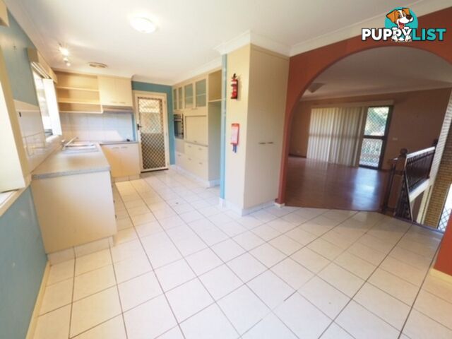 19 Myrtle Court PALM BEACH QLD 4221