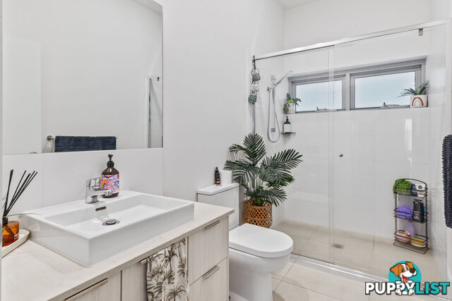 1/1449 Gold Coast Highway PALM BEACH QLD 4221