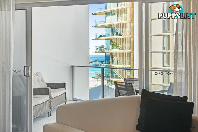 1/1449 Gold Coast Highway PALM BEACH QLD 4221