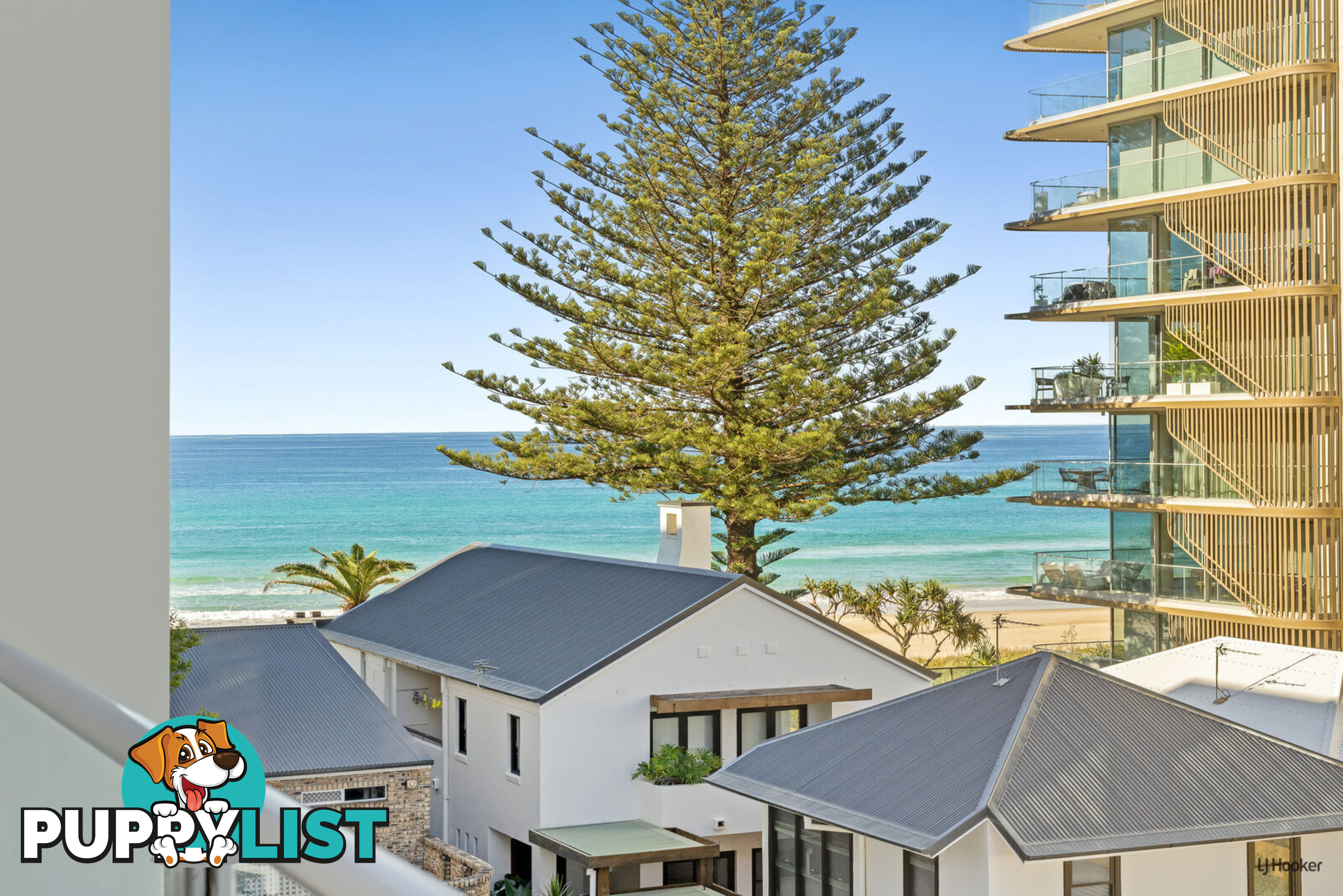 1/1449 Gold Coast Highway PALM BEACH QLD 4221