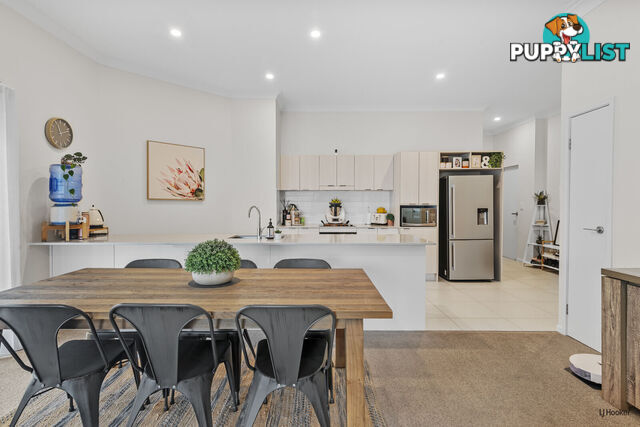 1/1449 Gold Coast Highway PALM BEACH QLD 4221