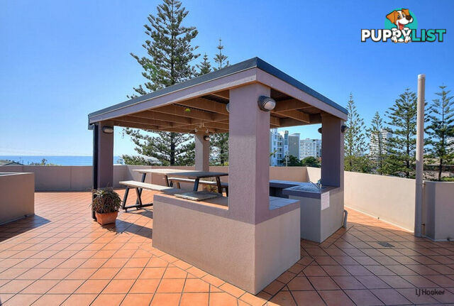7/1396 Gold Coast  Highway PALM BEACH QLD 4221