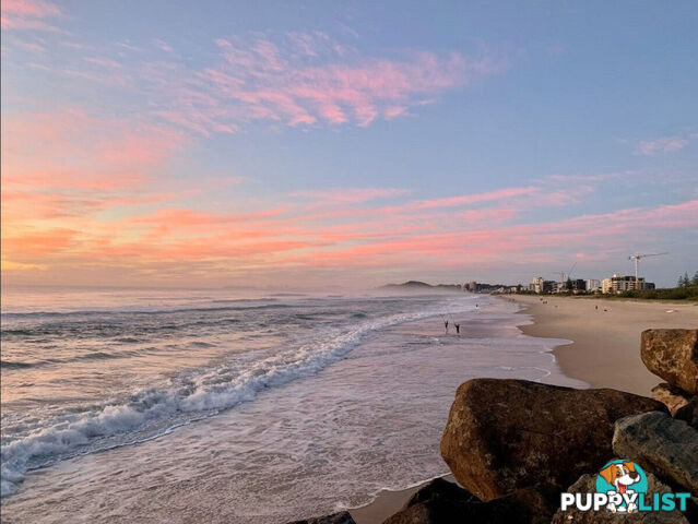 7/1396 Gold Coast  Highway PALM BEACH QLD 4221