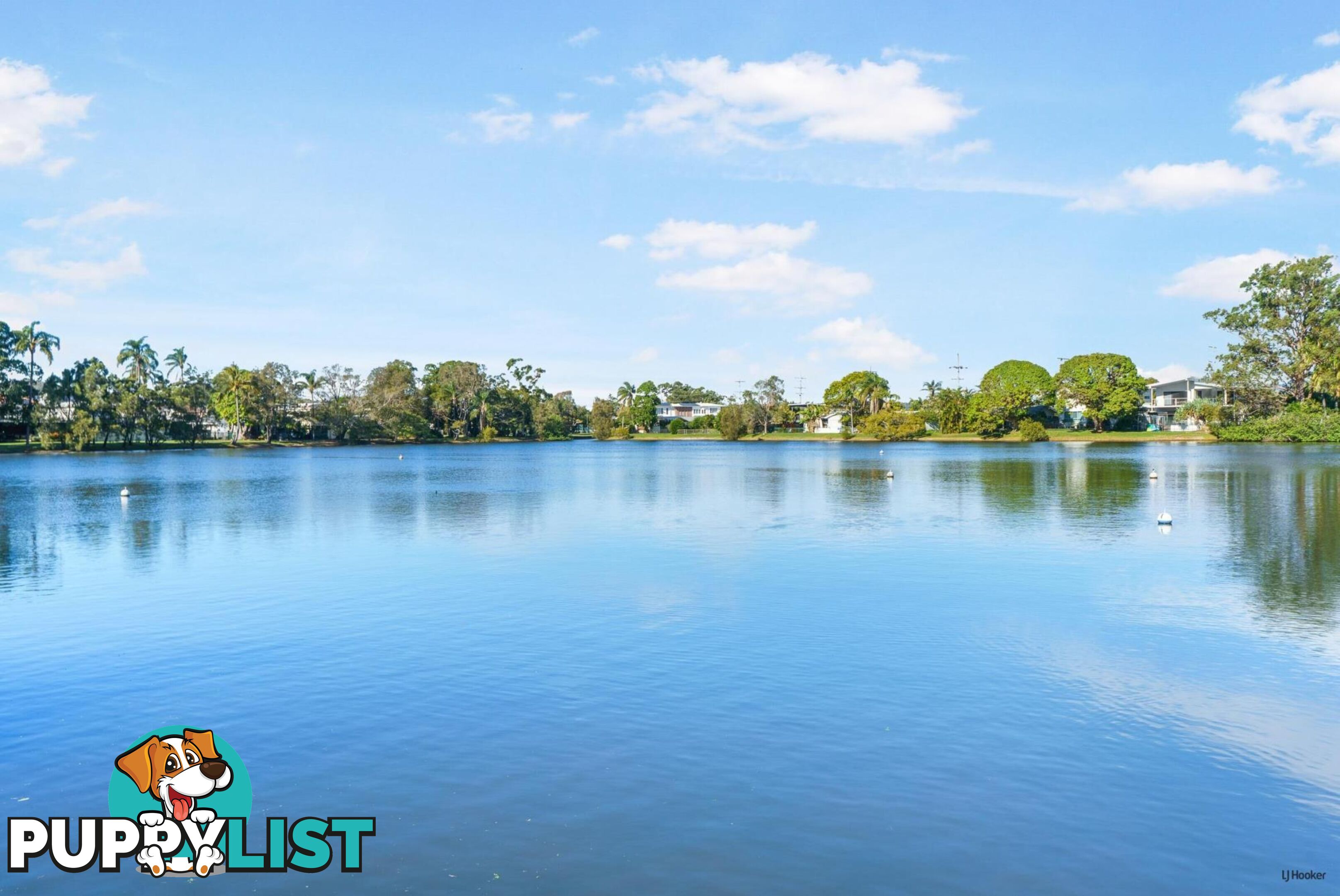 43A First Avenue PALM BEACH QLD 4221