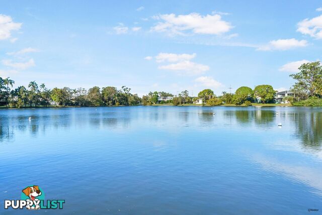 43A First Avenue PALM BEACH QLD 4221