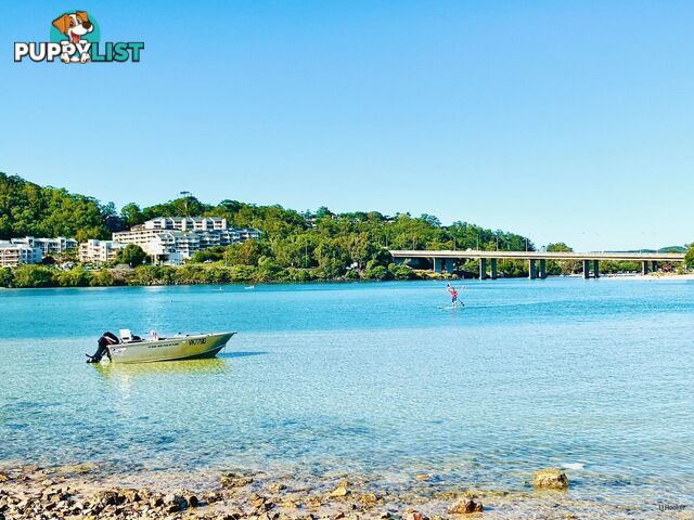 18 Coolibah Drive PALM BEACH QLD 4221