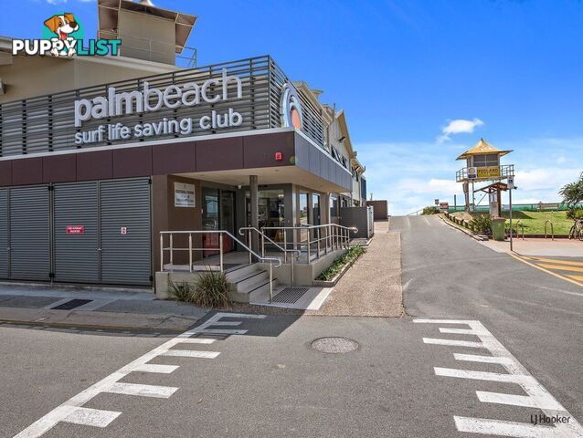18 Coolibah Drive PALM BEACH QLD 4221
