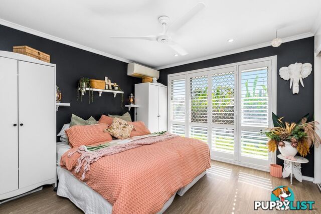 19 Saffron Street ELANORA QLD 4221