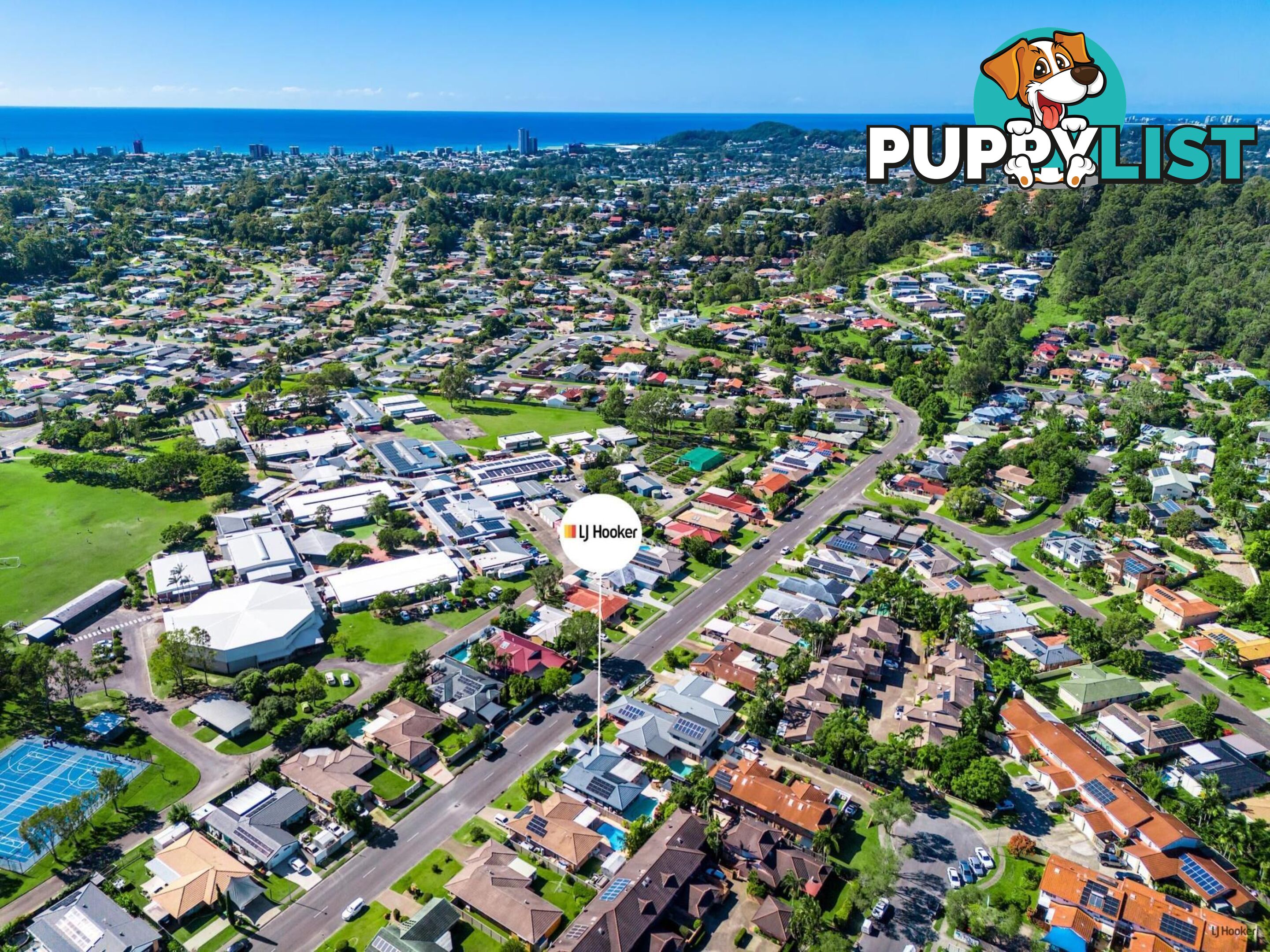 19 Saffron Street ELANORA QLD 4221