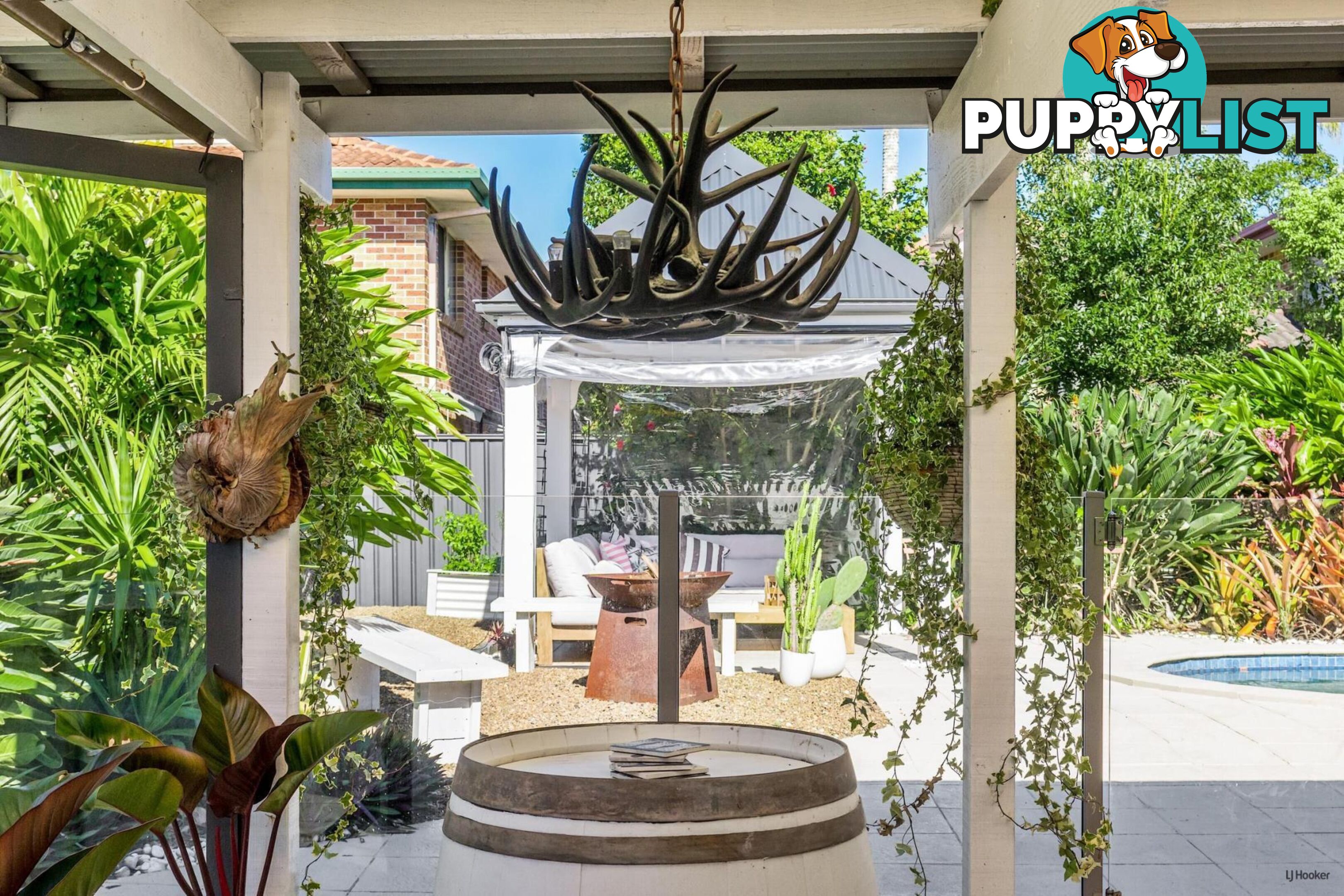 19 Saffron Street ELANORA QLD 4221