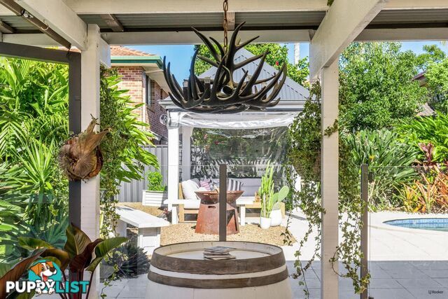 19 Saffron Street ELANORA QLD 4221