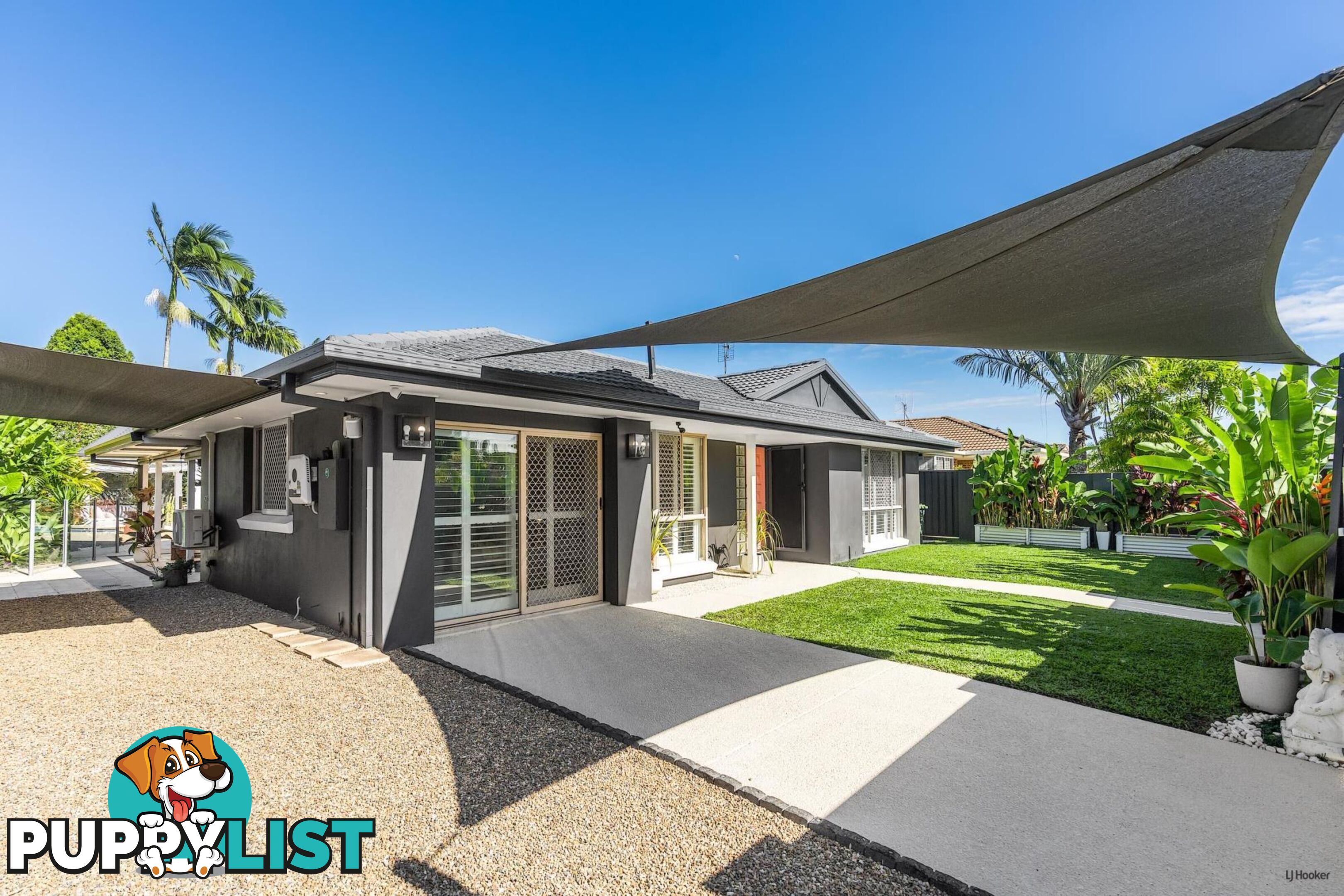 19 Saffron Street ELANORA QLD 4221
