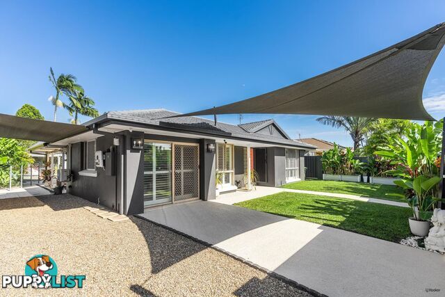 19 Saffron Street ELANORA QLD 4221