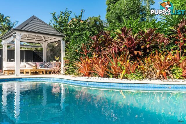 19 Saffron Street ELANORA QLD 4221
