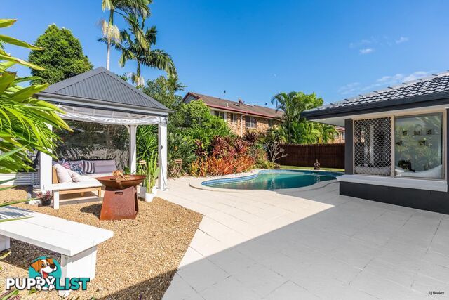 19 Saffron Street ELANORA QLD 4221