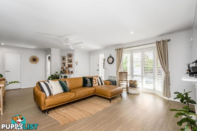 19 Saffron Street ELANORA QLD 4221
