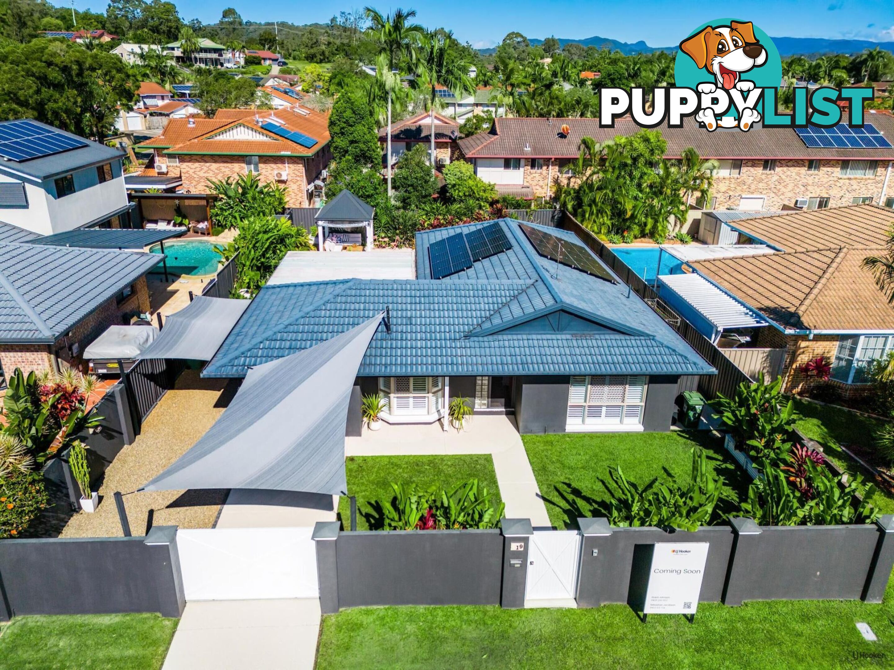 19 Saffron Street ELANORA QLD 4221