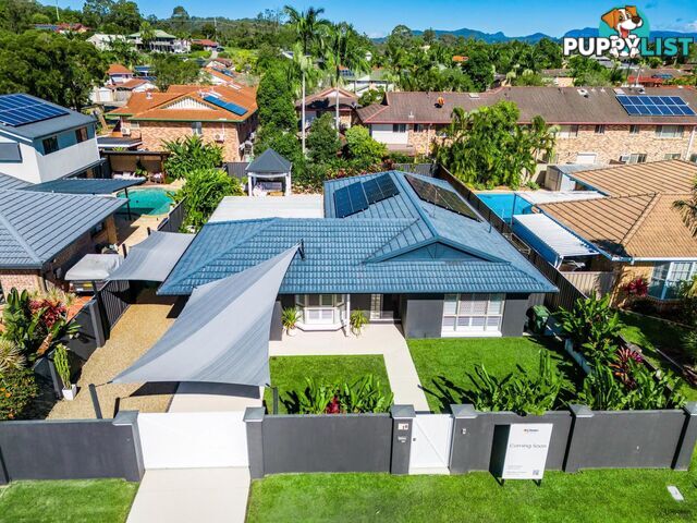 19 Saffron Street ELANORA QLD 4221