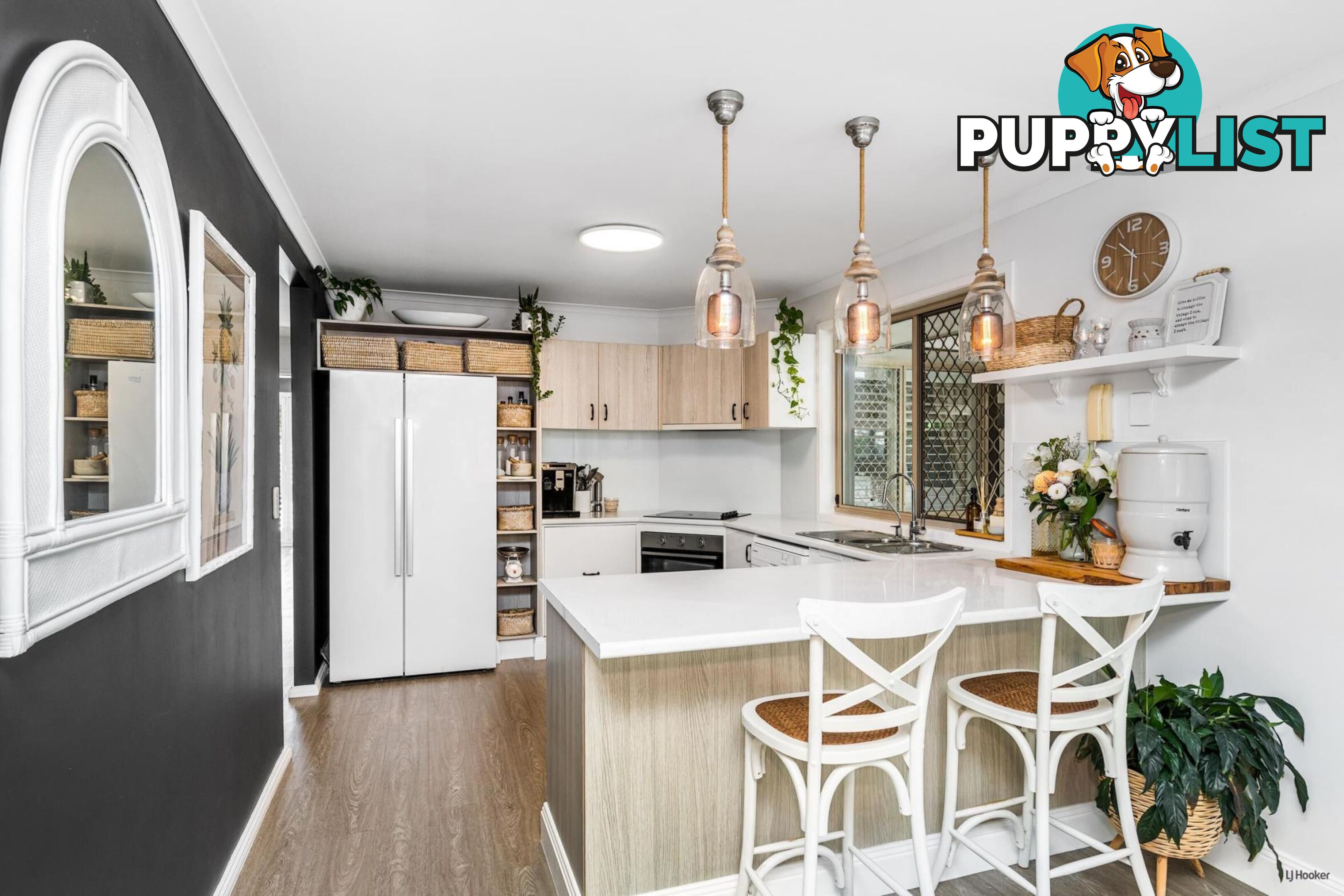 19 Saffron Street ELANORA QLD 4221