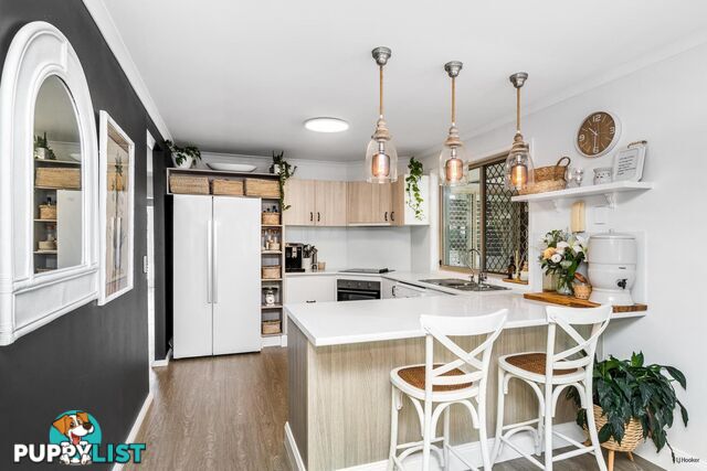 19 Saffron Street ELANORA QLD 4221