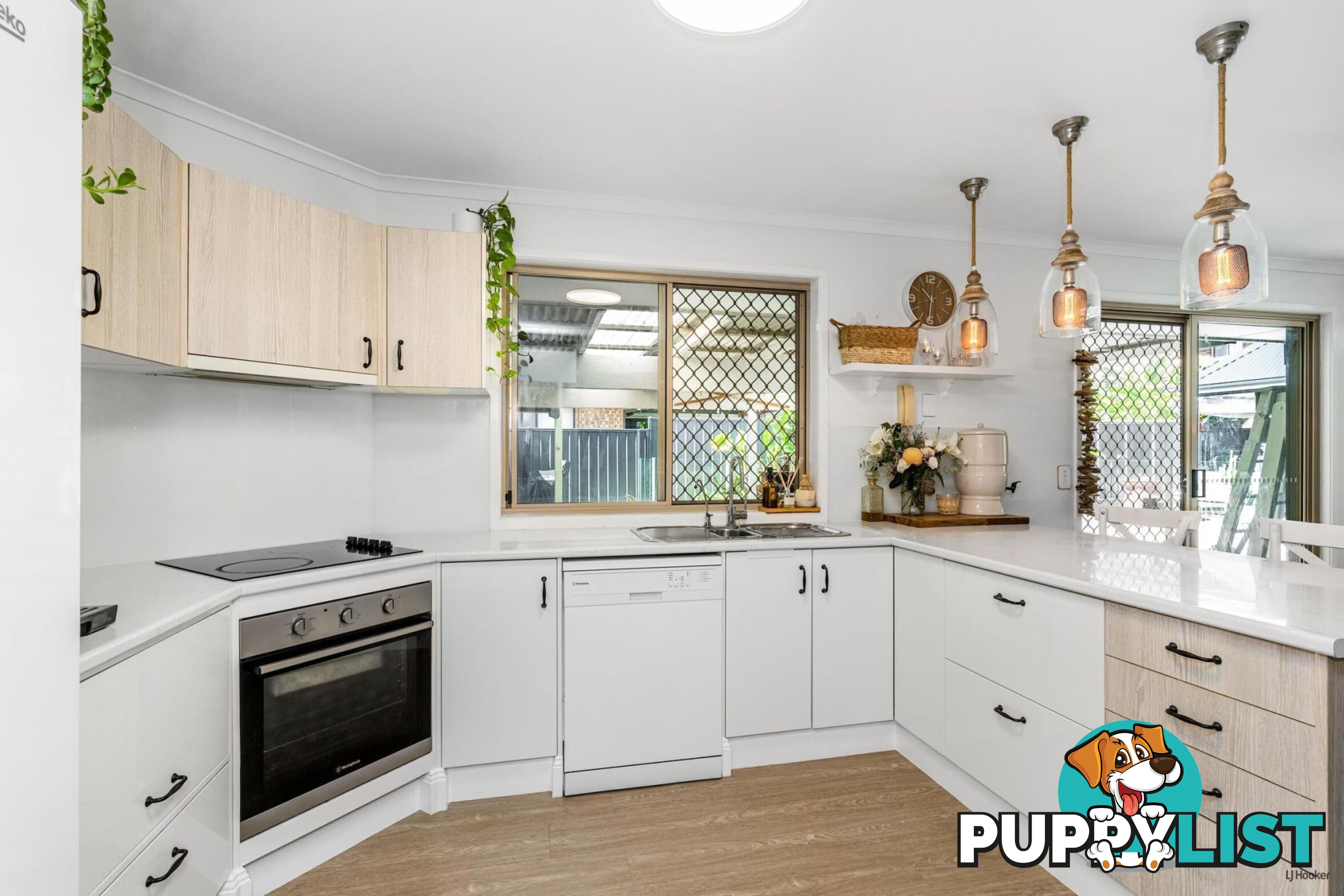 19 Saffron Street ELANORA QLD 4221