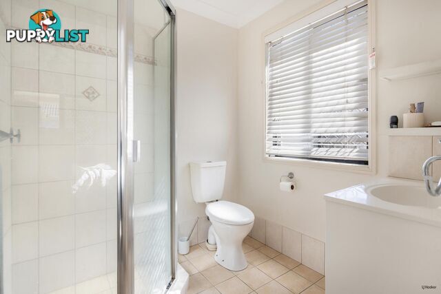 6 Neeson Place CURRUMBIN WATERS QLD 4223