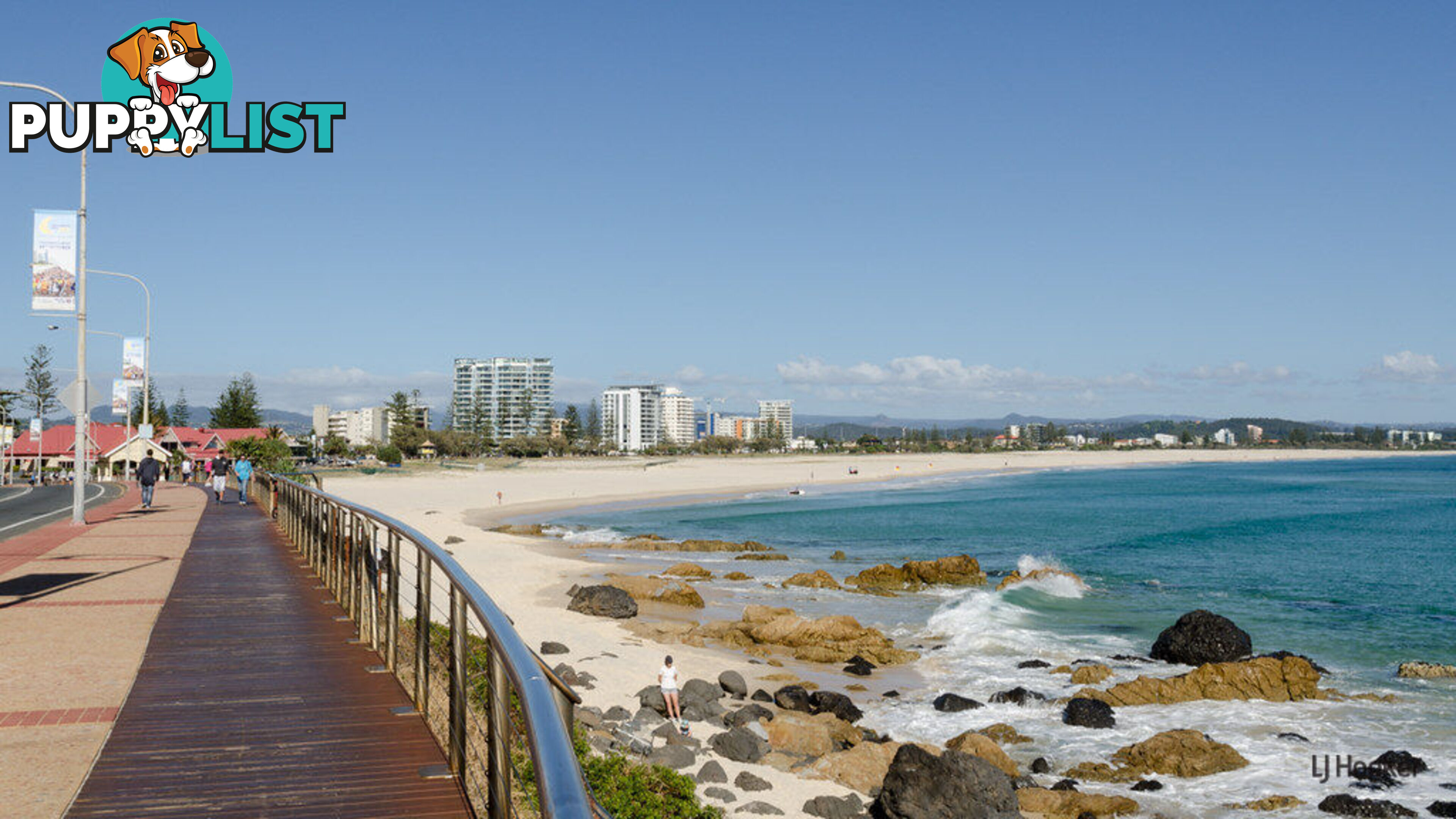 1204/4 Miles Street COOLANGATTA QLD 4225