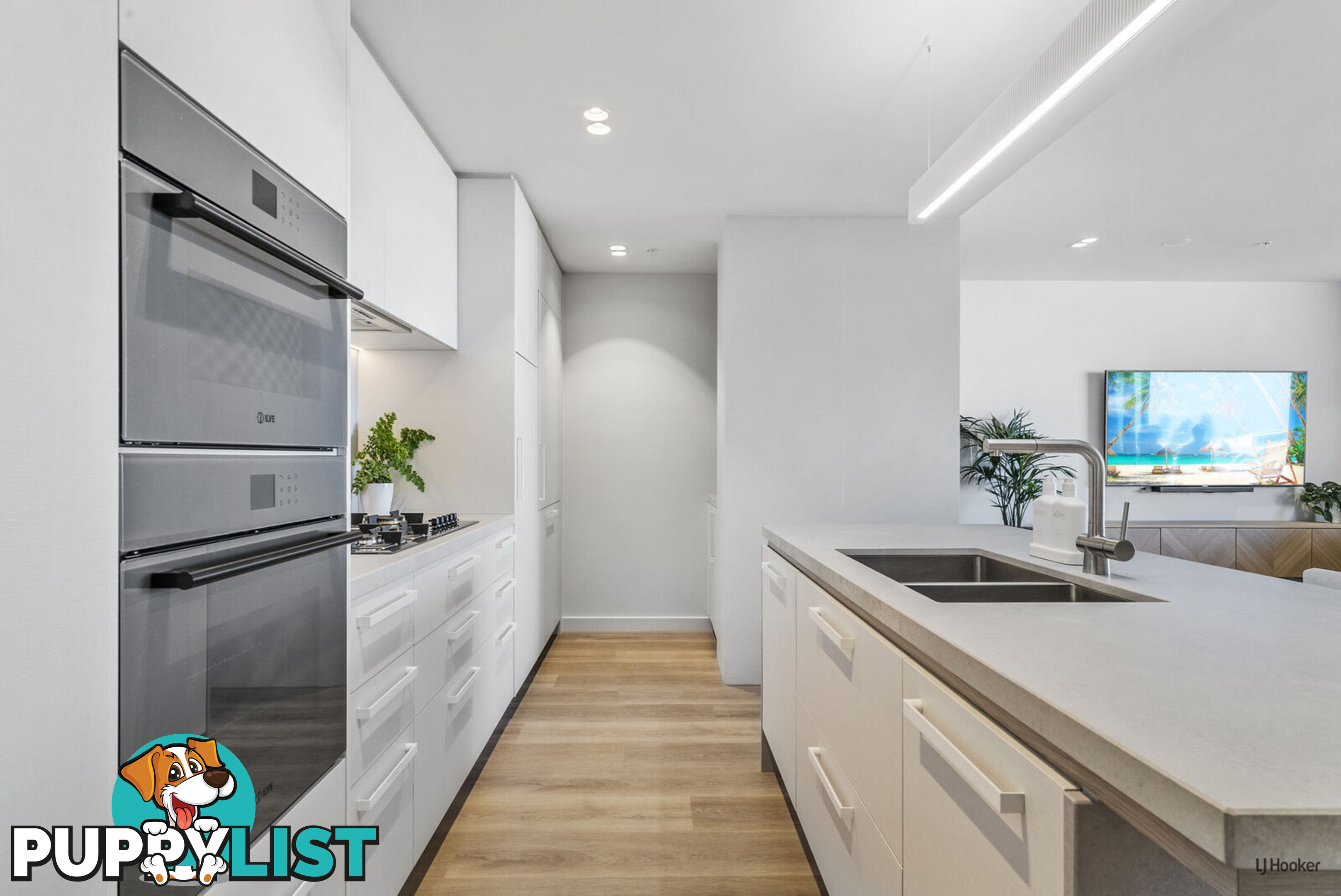 1204/4 Miles Street COOLANGATTA QLD 4225
