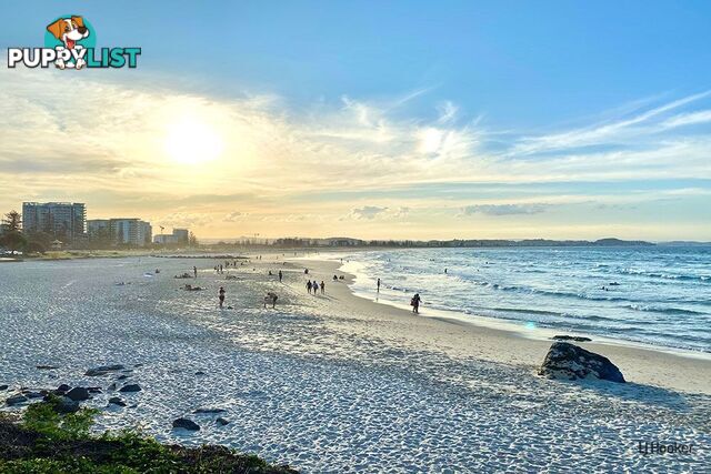 1204/4 Miles Street COOLANGATTA QLD 4225