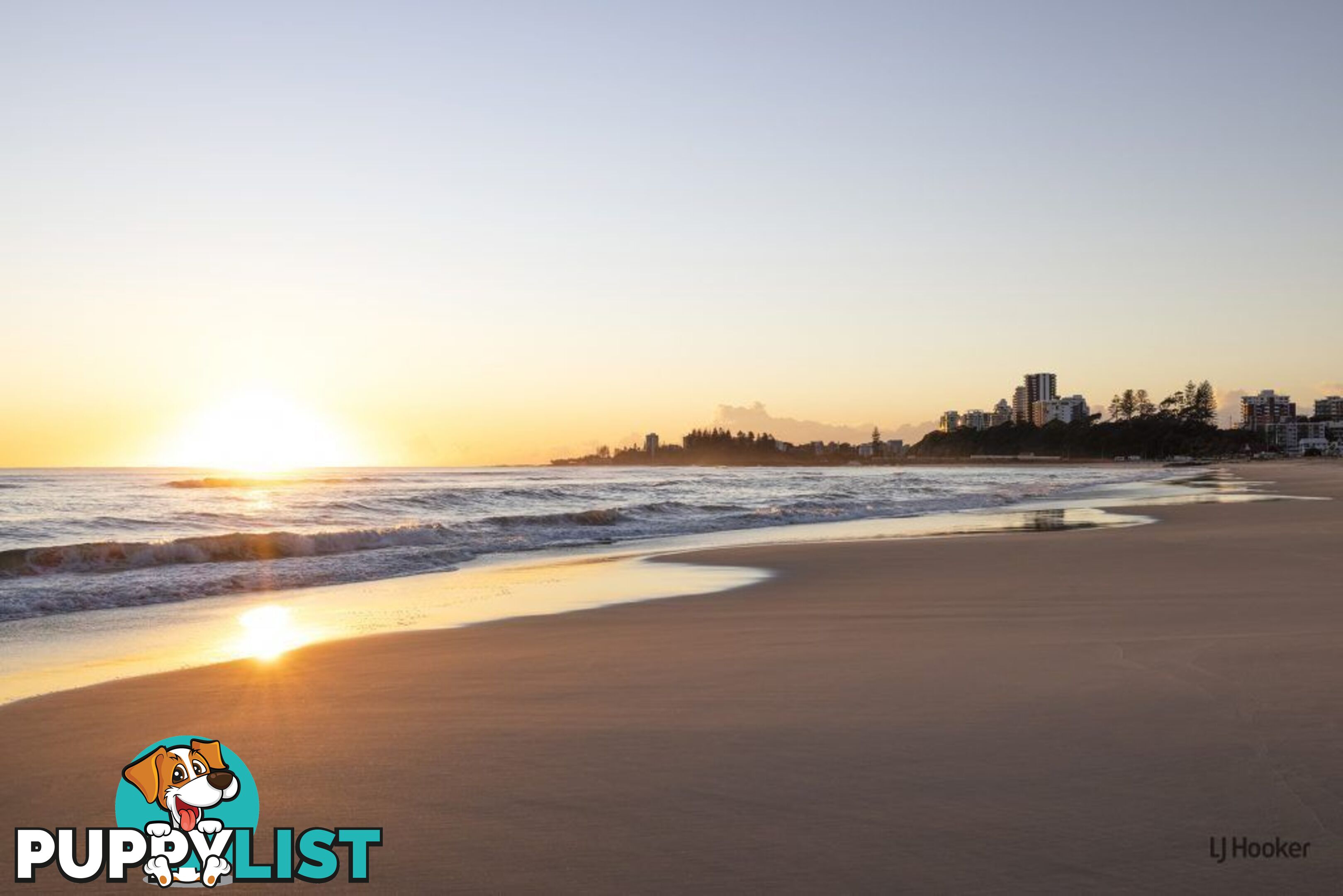 1204/4 Miles Street COOLANGATTA QLD 4225