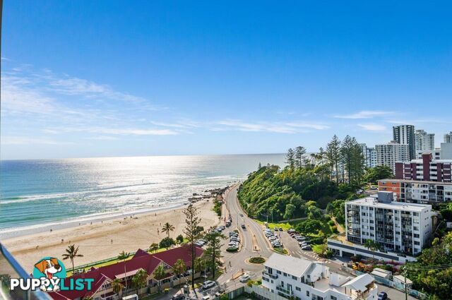 1204/4 Miles Street COOLANGATTA QLD 4225
