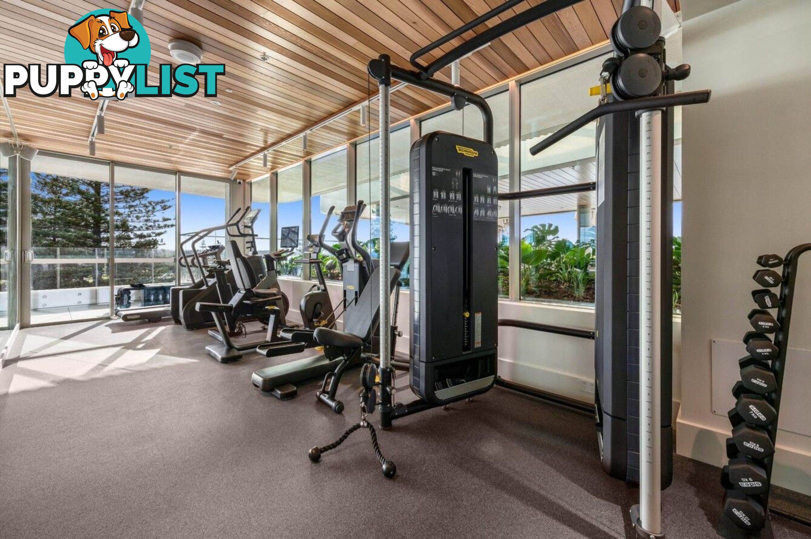 1204/4 Miles Street COOLANGATTA QLD 4225