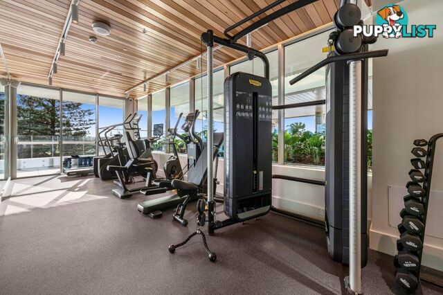 1204/4 Miles Street COOLANGATTA QLD 4225