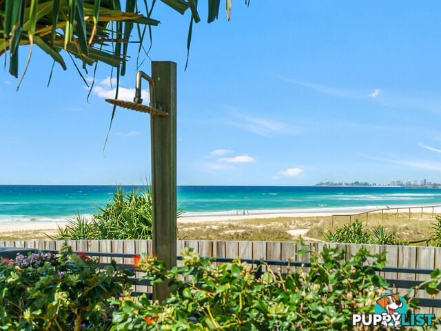 2/1331 Gold Coast Highway PALM BEACH QLD 4221