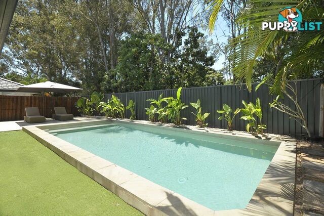 7 Seville Circuit BURLEIGH WATERS QLD 4220