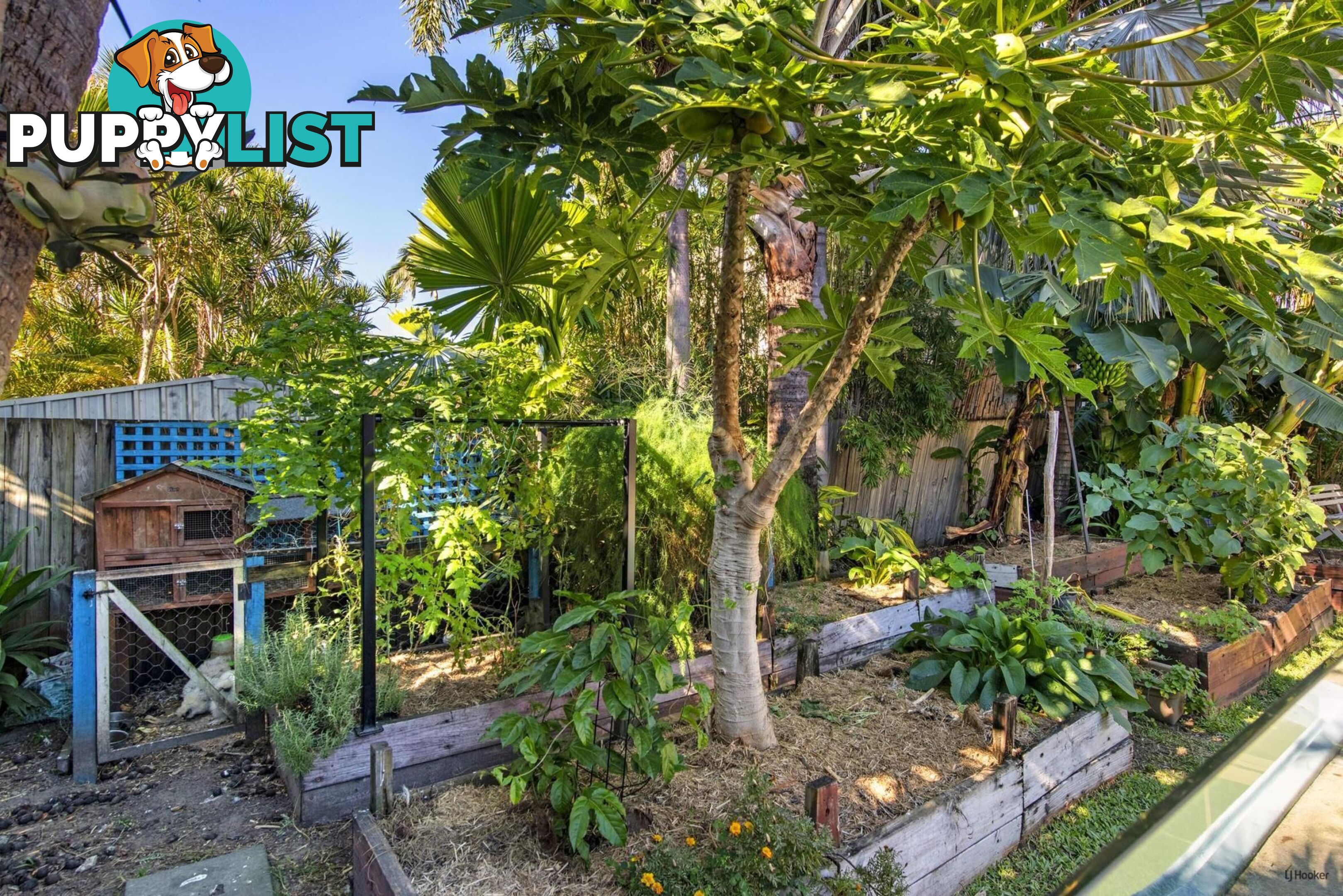 45 Broadwater Street RUNAWAY BAY QLD 4216