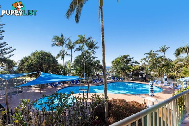 1B/828 Pacific Parade CURRUMBIN QLD 4223