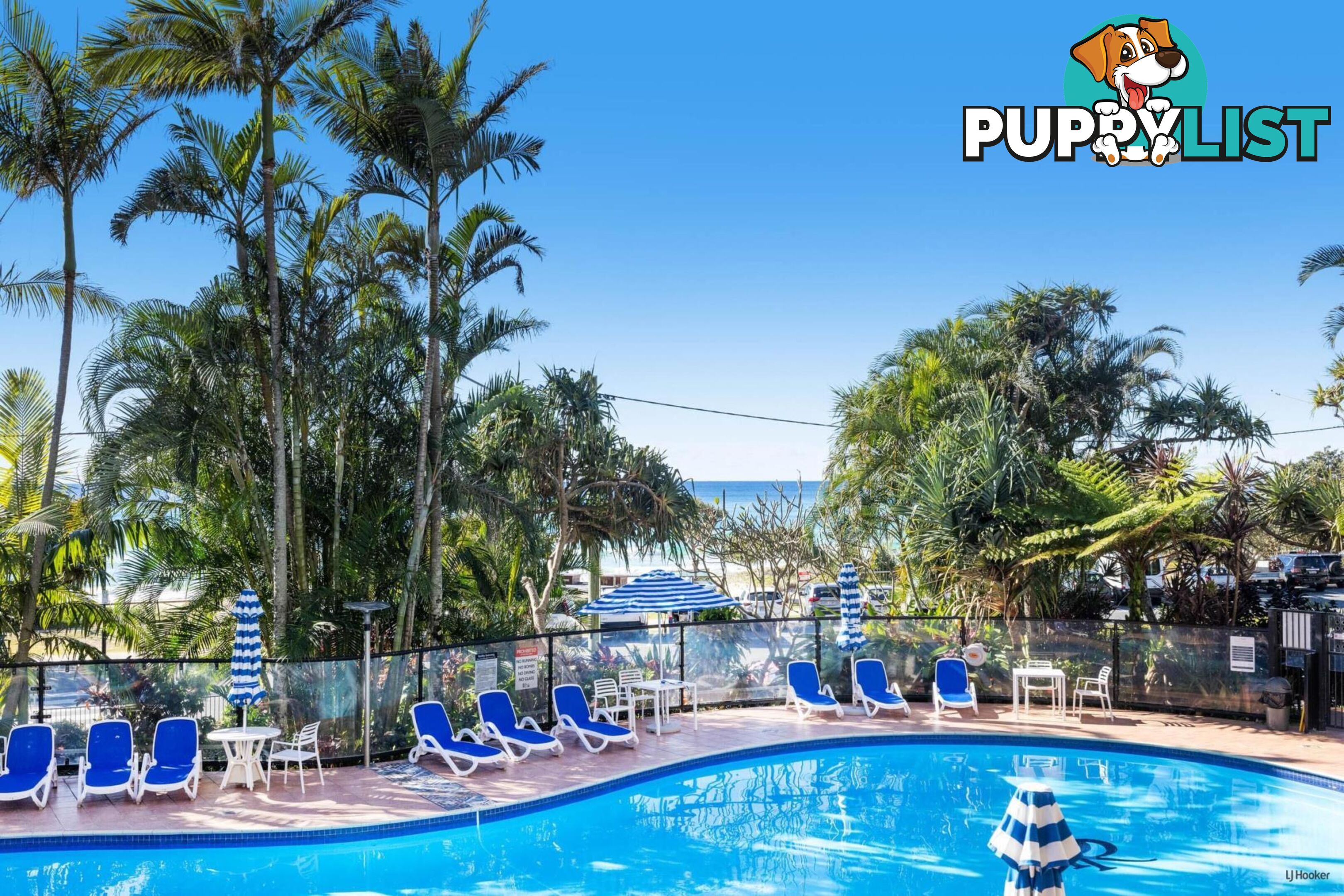 1B/828 Pacific Parade CURRUMBIN QLD 4223