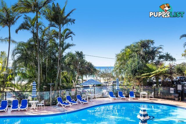 1B/828 Pacific Parade CURRUMBIN QLD 4223