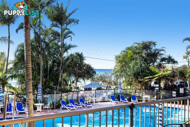 1B/828 Pacific Parade CURRUMBIN QLD 4223