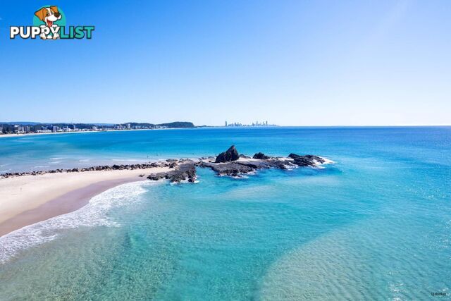 1B/828 Pacific Parade CURRUMBIN QLD 4223
