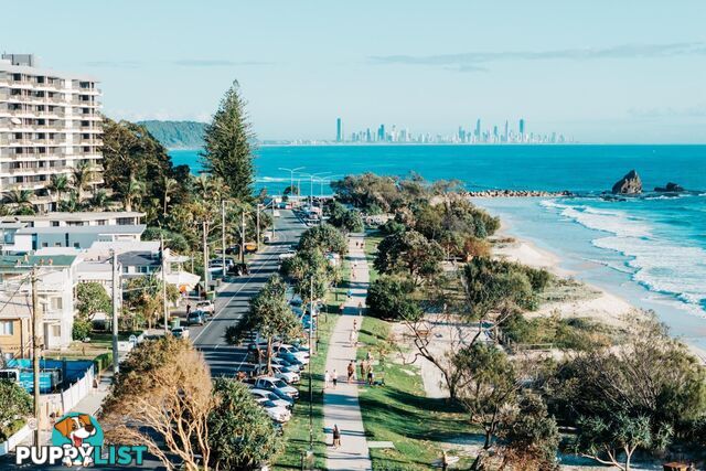 1B/828 Pacific Parade CURRUMBIN QLD 4223