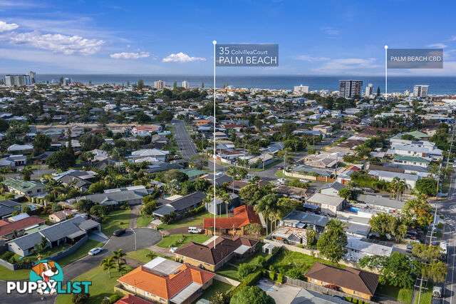 35 Colvillea Court PALM BEACH QLD 4221