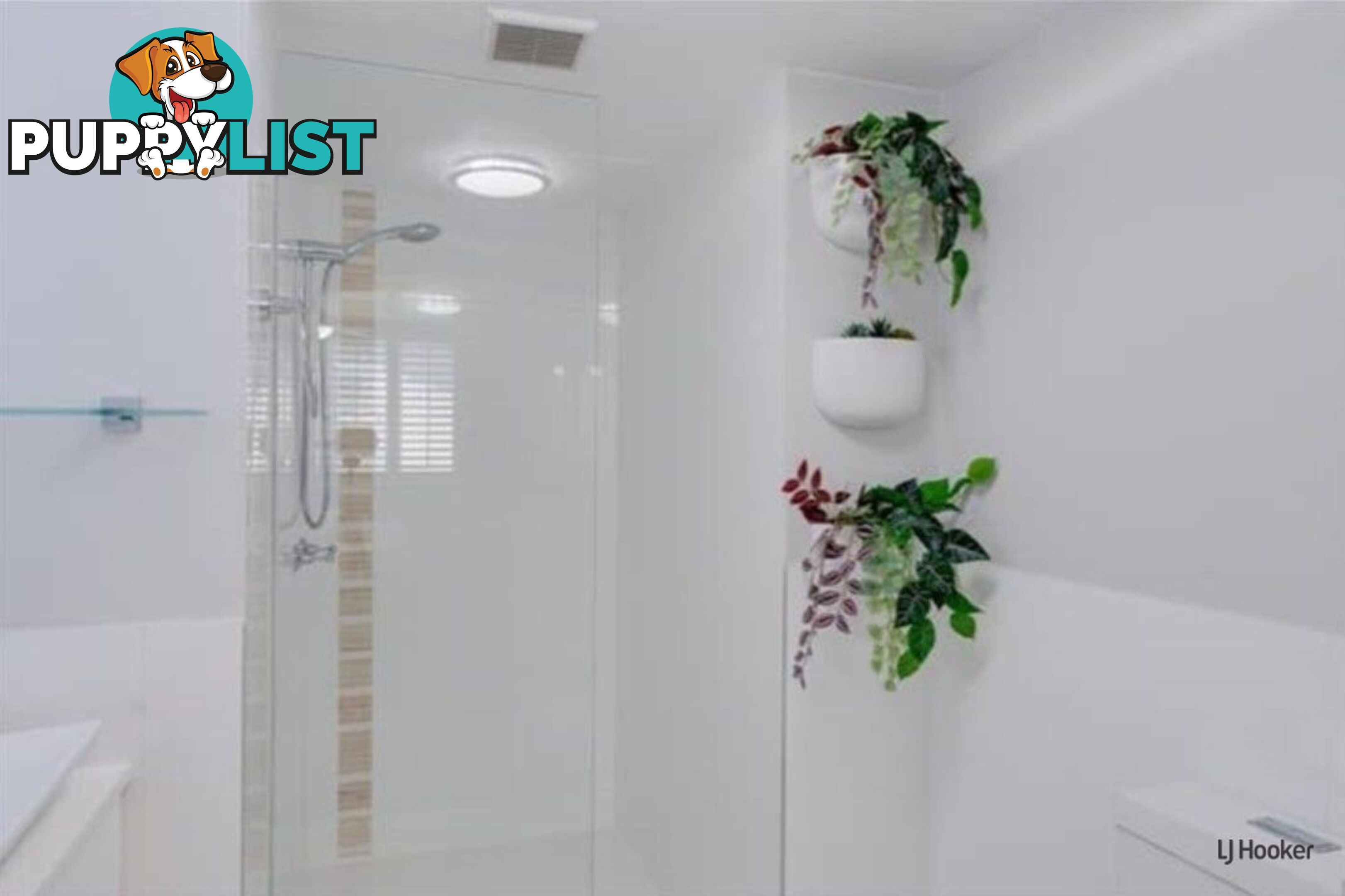 65/38-42 Duringan Street CURRUMBIN QLD 4223