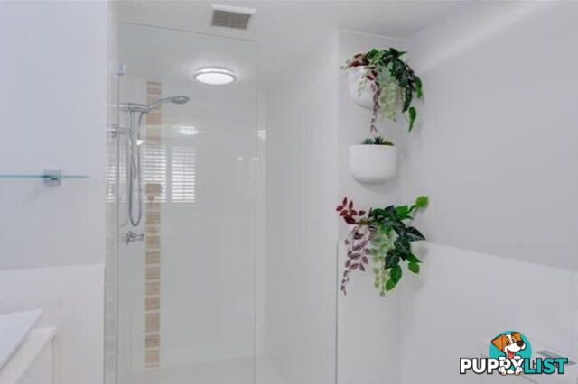 65/38-42 Duringan Street CURRUMBIN QLD 4223