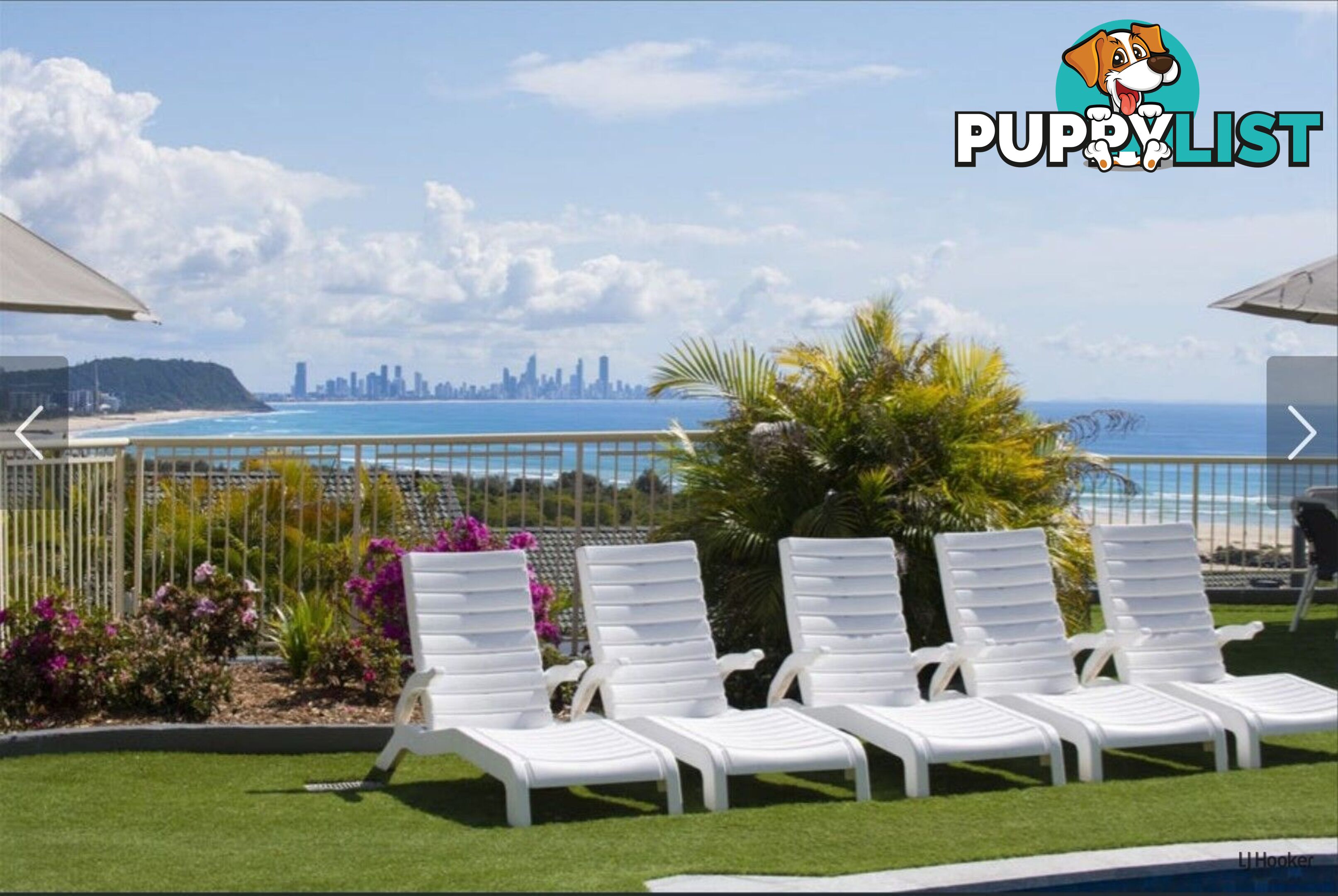 65/38-42 Duringan Street CURRUMBIN QLD 4223