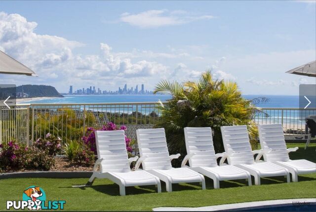 65/38-42 Duringan Street CURRUMBIN QLD 4223
