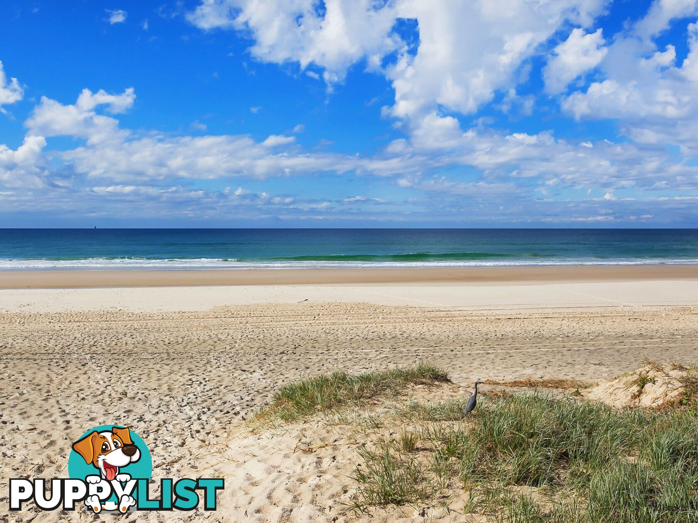 12A Teemangum Street TUGUN QLD 4224